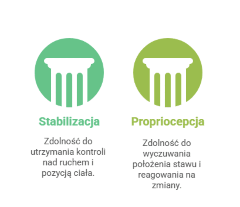 Czym jest stabilizacja i propriocepcja stawu kolanowego i dlaczego są tak ważne?