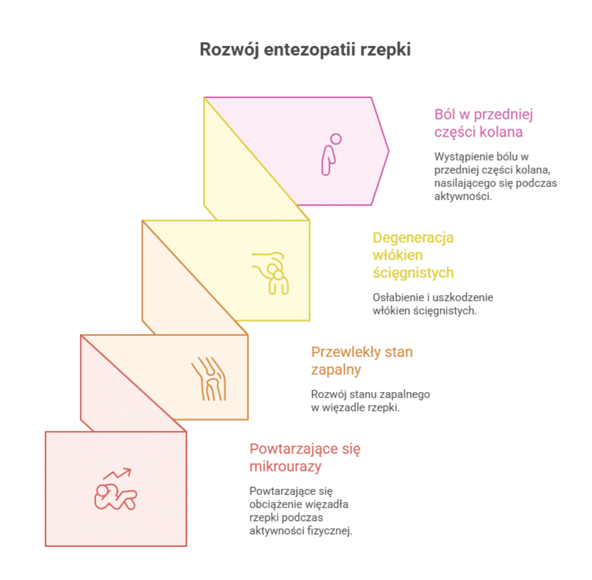 Dlaczego boli pod rzepką? Anatomia kolana a rozwój entezopatii