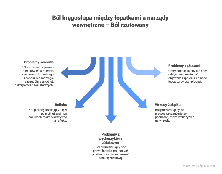 Ból kręgosłupa między łopatkami a narządy wewnętrzne – Ból rzutowany